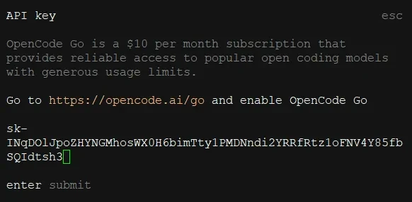Paste the API key (starts with SK-), then press Enter